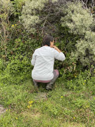 Miaomiao picking blackberries at the northwest side of the Grevelingendam