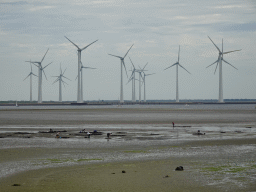 Windmills and people looking for seashells at the beach at the southwest side of the Grevelingendam