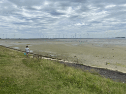 Miaomiao at the beach at the southwest side of the Grevelingendam