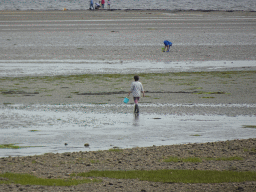 Miaomiao looking for seashells at the beach at the southwest side of the Grevelingendam