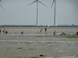 People looking for seashells at the beach at the south side of the Grevelingendam