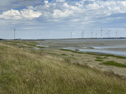 Beach at the southeast side of the Grevelingendam