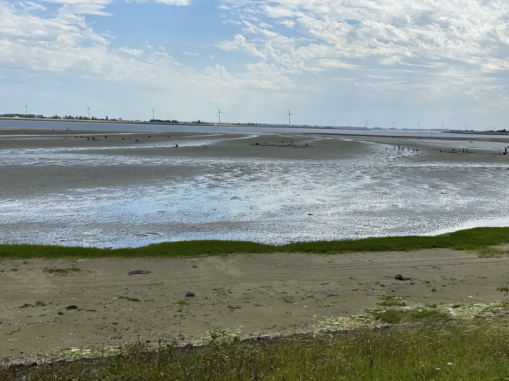 Beach at the south side of the Grevelingendam