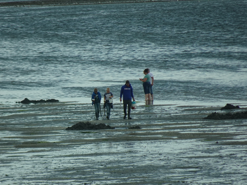 People looking for seashells at the beach at the south side of the Grevelingendam