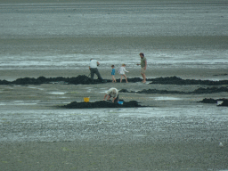 People looking for seashells at the beach at the south side of the Grevelingendam