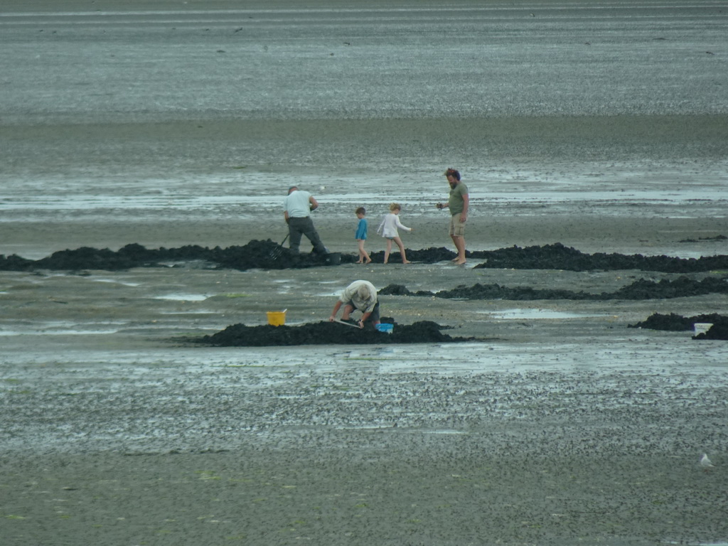 People looking for seashells at the beach at the south side of the Grevelingendam