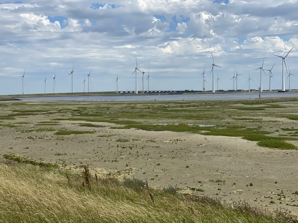 Beach at the southeast side of the Grevelingendam