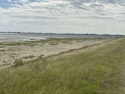 Beach at the south side of the Grevelingendam