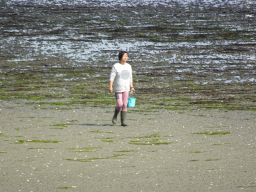 Miaomiao looking for seashells at the beach at the south side of the Grevelingendam