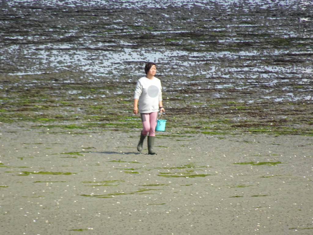 Miaomiao looking for seashells at the beach at the south side of the Grevelingendam