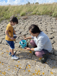 Miaomiao and Max with seashells at the beach at the south side of the Grevelingendam