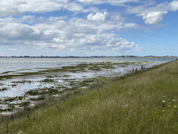 People looking for seashells at the beach at the south side of the Grevelingendam