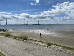 Miaomiao looking for seashells at the beach at the south side of the Grevelingendam