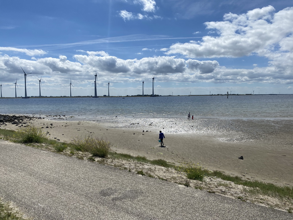 Miaomiao looking for seashells at the beach at the south side of the Grevelingendam