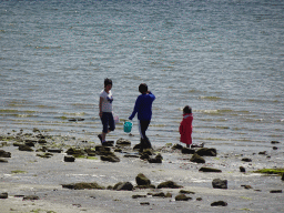 Miaomiao looking for seashells at the beach at the south side of the Grevelingendam