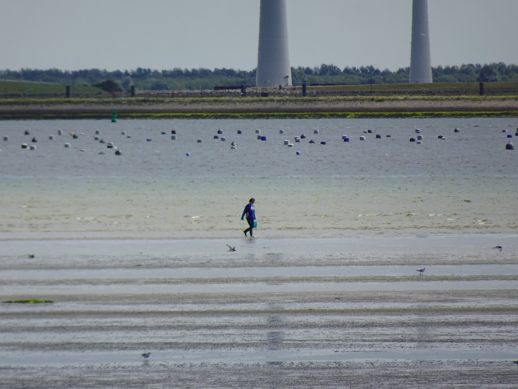 Miaomiao looking for seashells at the beach at the south side of the Grevelingendam