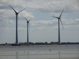 Windmills and Miaomiao looking for seashells at the beach at the south side of the Grevelingendam