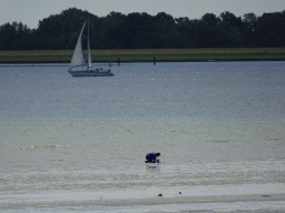 Miaomiao looking for seashells at the beach at the south side of the Grevelingendam