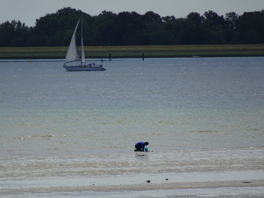 Miaomiao looking for seashells at the beach at the south side of the Grevelingendam