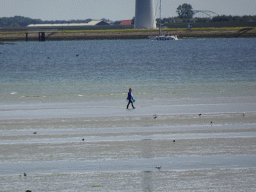 Miaomiao looking for seashells at the beach at the south side of the Grevelingendam