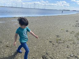 Miaomiao and Max looking for seashells at the pier at the south side of the Grevelingendam