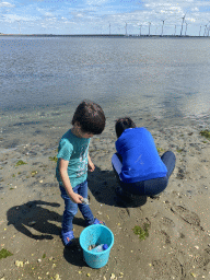 Miaomiao and Max looking for seashells at the pier at the south side of the Grevelingendam
