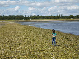 Max with a seashell at the pier at the south side of the Grevelingendam