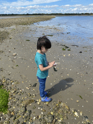 Max with a seashell at the pier at the south side of the Grevelingendam