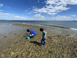 Miaomiao and Max looking for seashells at the pier at the south side of the Grevelingendam