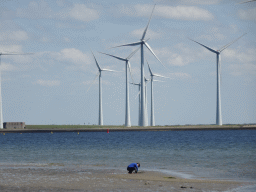 Windmills and Miaomiao looking for seashells at the beach at the south side of the Grevelingendam