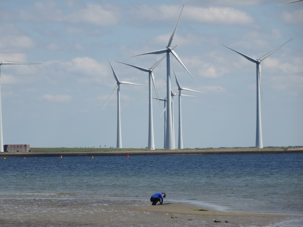 Windmills and Miaomiao looking for seashells at the beach at the south side of the Grevelingendam