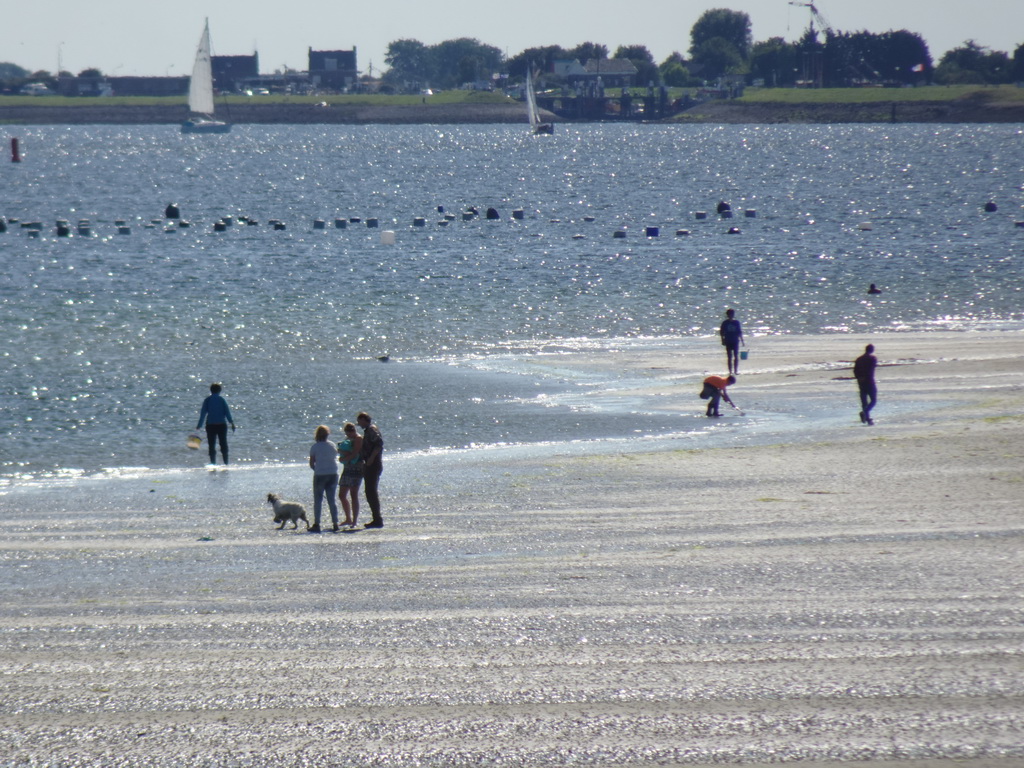 People looking for seashells at the south side of the Grevelingendam