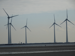 Windmills, the Krammer lake and Miaomiao looking for seashells at the south side of the Grevelingendam