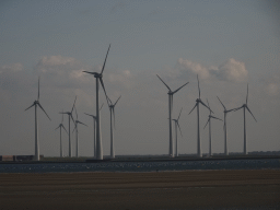 Windmills, the Krammer lake and Miaomiao looking for seashells at the south side of the Grevelingendam