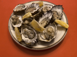 Oysters for dinner in the living room at the ground floor of our apartment at Holiday Park AquaDelta