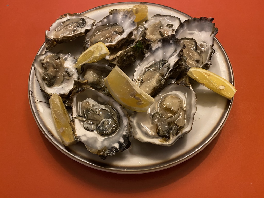 Oysters for dinner in the living room at the ground floor of our apartment at Holiday Park AquaDelta