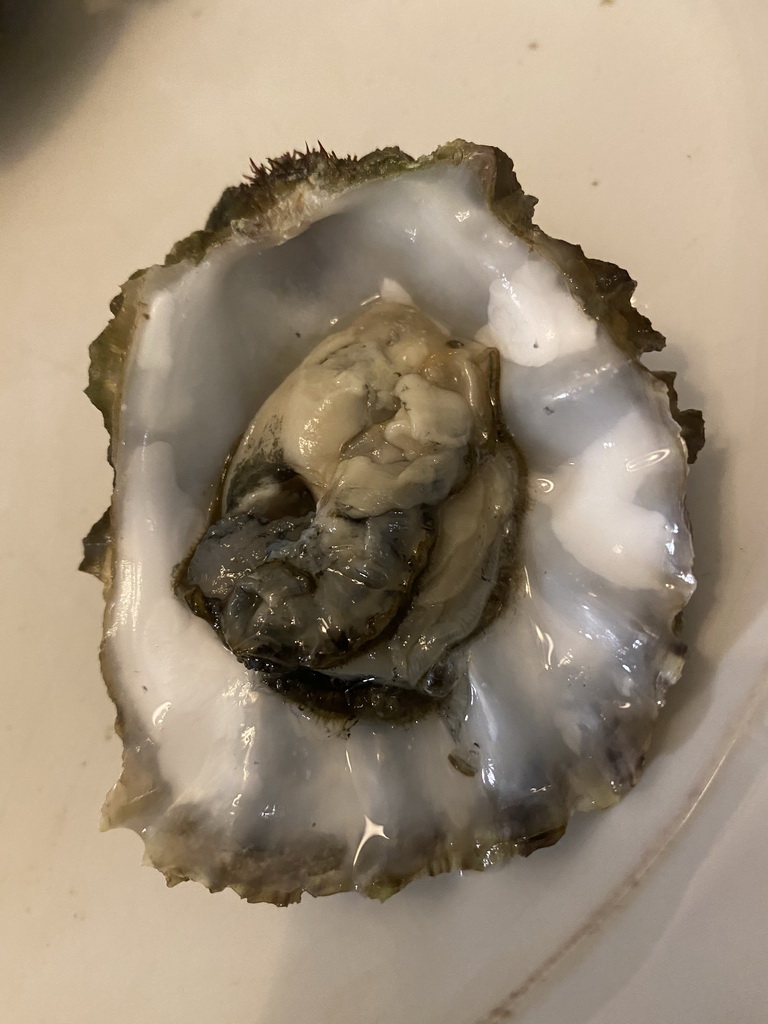 Oyster in the kitchen at the ground floor of our apartment at Holiday Park AquaDelta