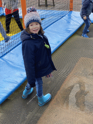 Max on the trampoline at the playground at the central square of Holiday Park AquaDelta