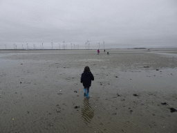 Miaomiao, Max and our friends looking for seashells at the south side of the Grevelingendam