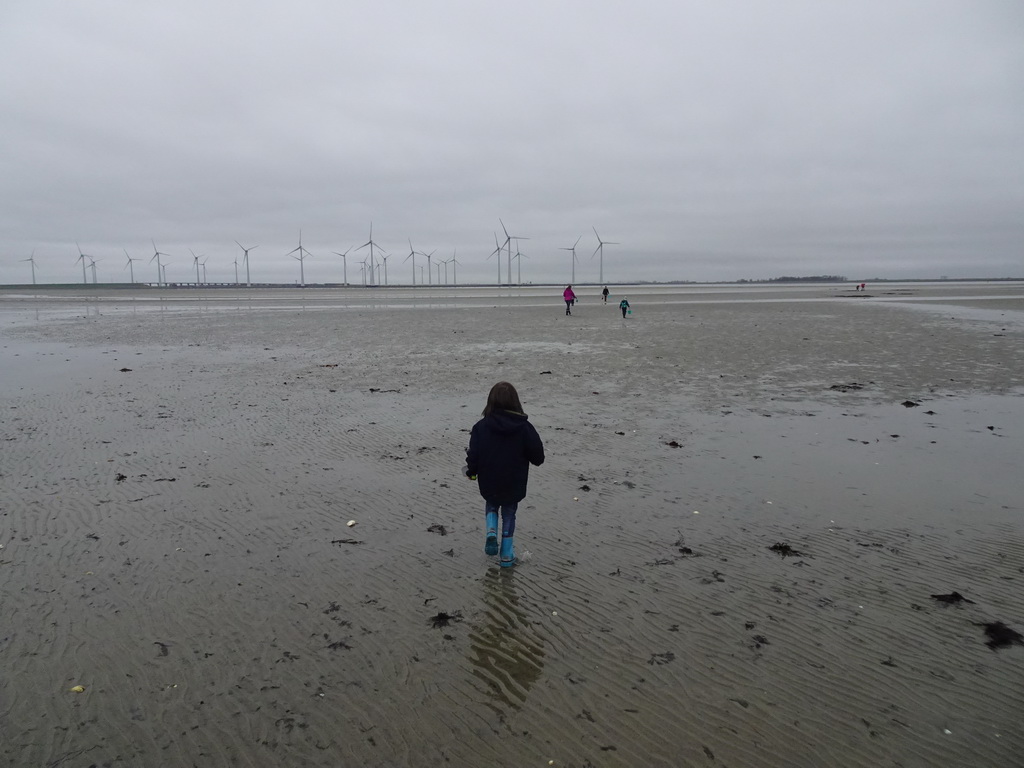 Miaomiao, Max and our friends looking for seashells at the south side of the Grevelingendam