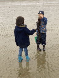 Max and his friend with seaweed at the south side of the Grevelingendam