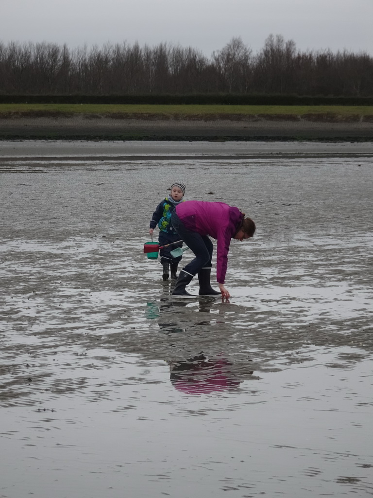 Our friends looking for seashells at the south side of the Grevelingendam