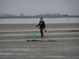 Miaomiao looking for seashells at the south side of the Grevelingendam