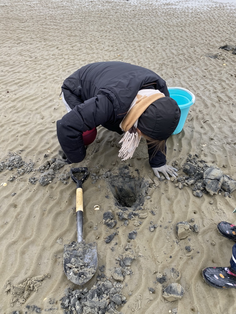 Miaomiao looking for seashells at the south side of the Grevelingendam