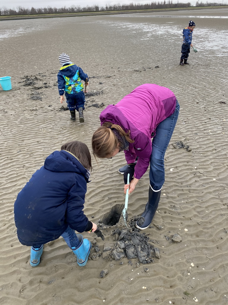 Max and our friends looking for seashells at the south side of the Grevelingendam