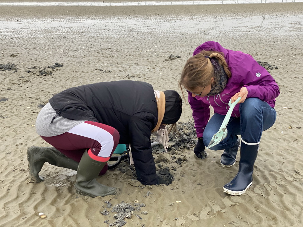 Miaomiao and our friend looking for seashells at the south side of the Grevelingendam