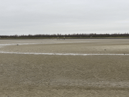 Miaomiao, Max and our friends looking for seashells at the south side of the Grevelingendam