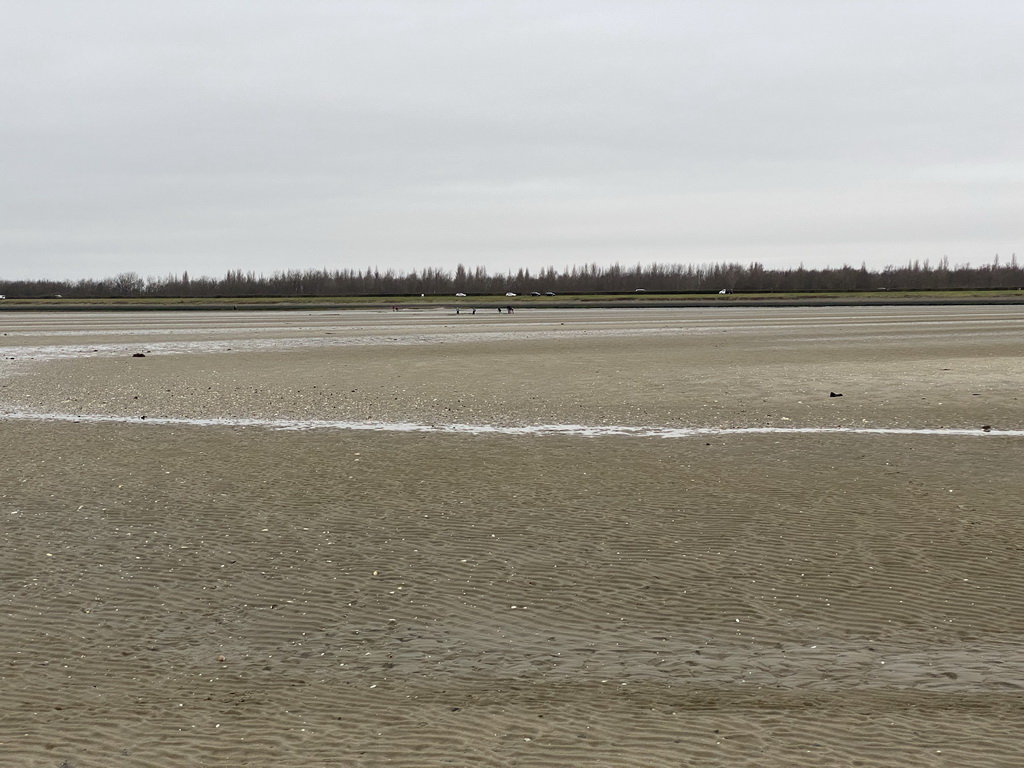 Miaomiao, Max and our friends looking for seashells at the south side of the Grevelingendam