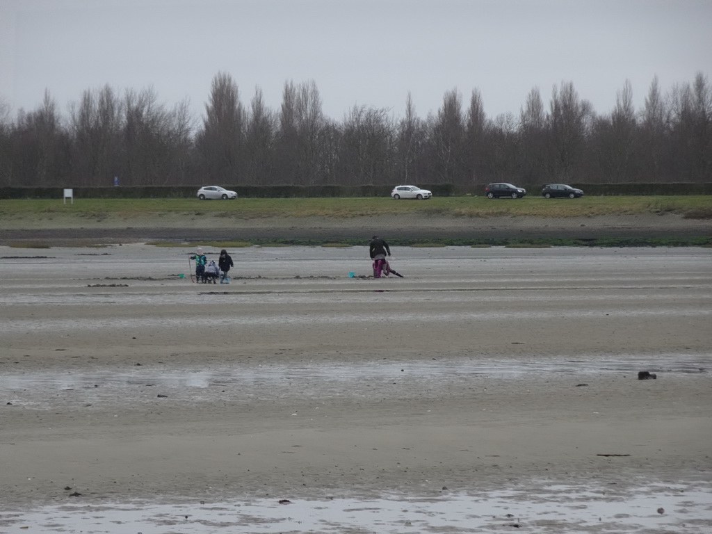 Miaomiao, Max and our friends looking for seashells at the south side of the Grevelingendam