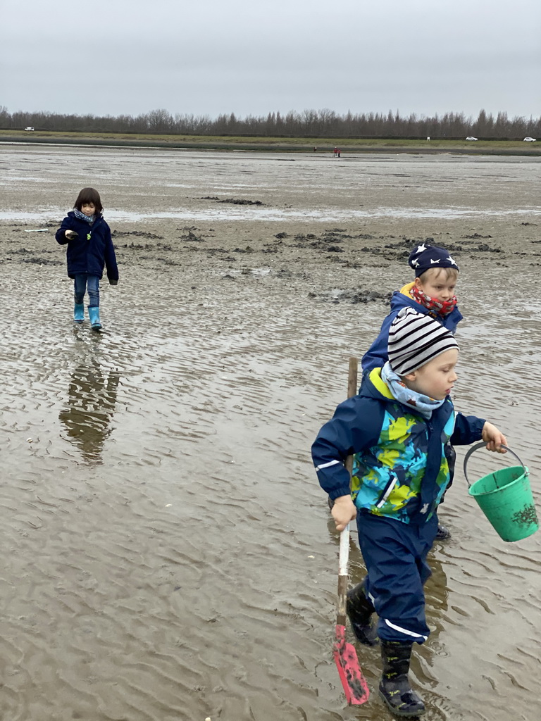 Max and his friends looking for seashells at the south side of the Grevelingendam